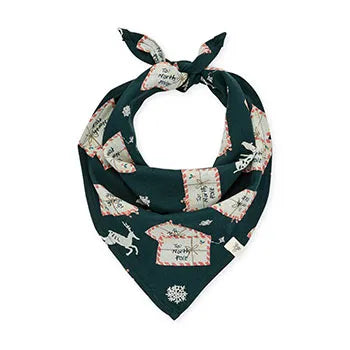 Burt's Bees Holiday Matching Pet Bandana